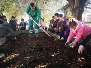 El colegio Meléndez Valdés de Ribera del Fresno colabora con la campaña 'Siembra un árbol, siembra conciencia'