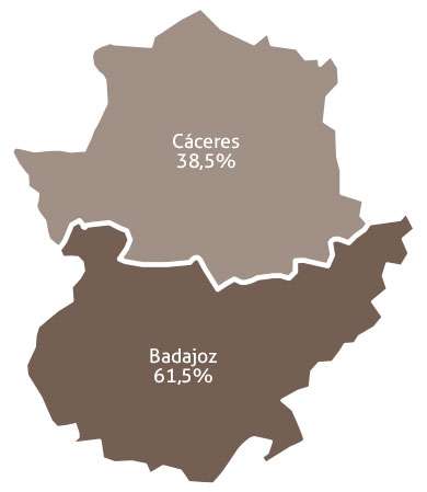 Figura 6. Diagrama de sectores de los fumadores por provincia