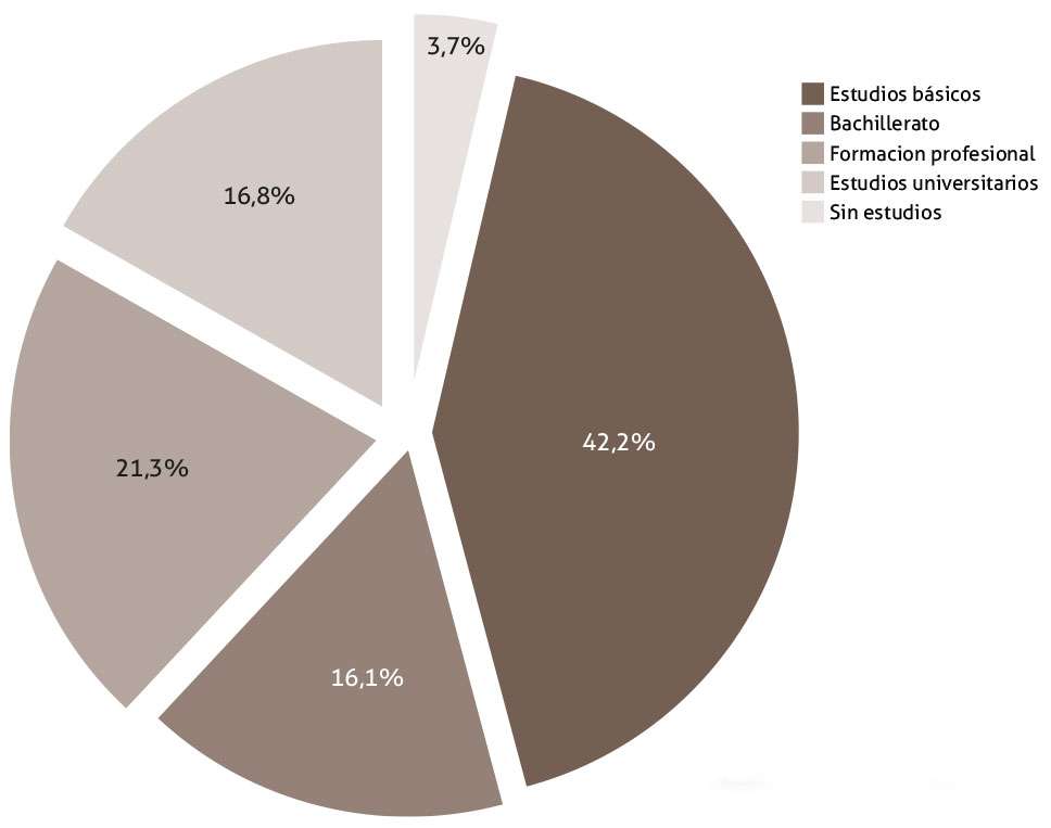 Figura 7. Diagrama de sectores del nivel de estudios