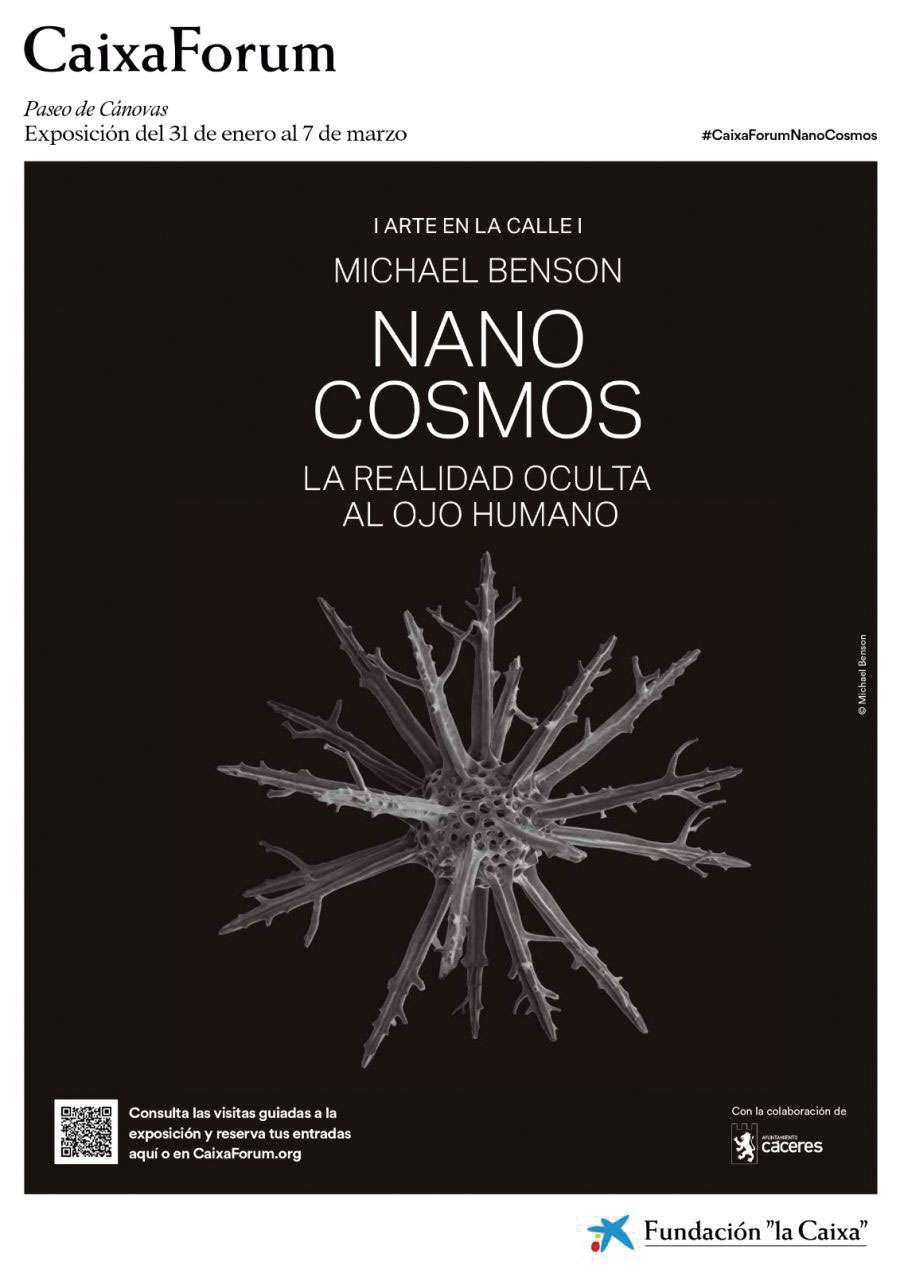 La Fundación La Caixa lleva a Cáceres la exposición ‘Nanocosmos. La realidad oculta al ojo humano’