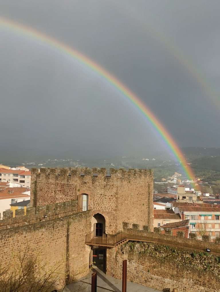 Desde la Torre Lucía. Las otras bibliotecas (I)