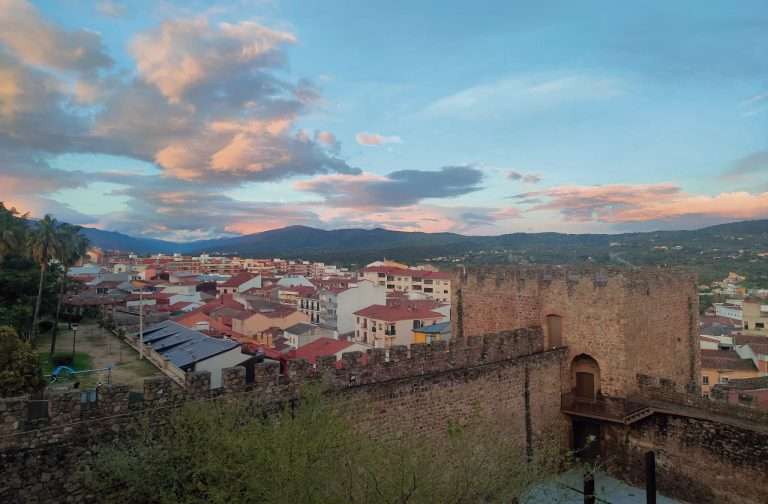 Desde la Torre Lucía. Las otras bibliotecas (II)