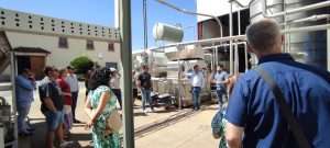 Socios de Avitibar han visitado Bodegas Romale