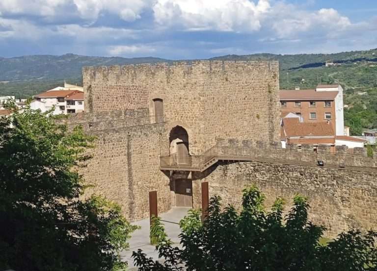 Desde la Torre Lucía. Las otras bibliotecas (y III)