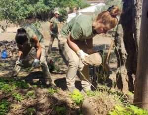 El Ayuntamiento de Cáceres abre la preinscripción en el programa 'Huertos de ocio y urbanos'