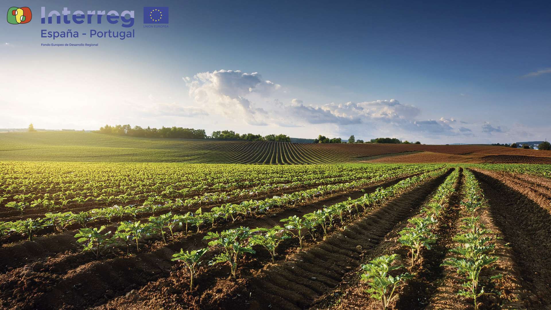 La Diputación de Cáceres promoverá el emprendimiento en la economía social agroalimentaria a través del proyecto transfronterizo ‘Agrosocial’