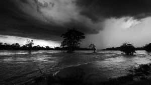 Pedro Monty y Alfonso Calvo presentan 'Lluvia mortal' y 'Luz en la tormenta' en homenaje a las víctimas de las recientes inundaciones