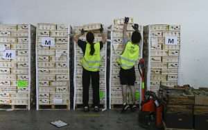 La campaña de La Caixa 'Ningún hogar sin alimentos' ya ha recaudado 1,6 millones de euros