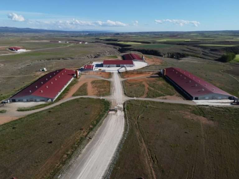 Huevos Guillén invertirá 14,5 millones en una granja de 320.000 gallinas camperas en Ribera del Fresno