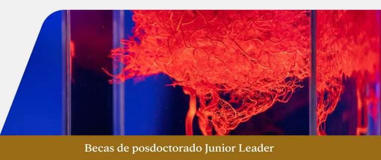 Fundación La Caixa convoca las becas Junior Leader para investigadores posdoctorales en España y Portugal