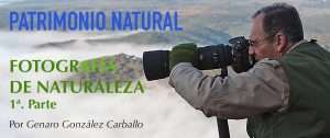 Patrimonio natural. La fotografía de naturaleza (1)