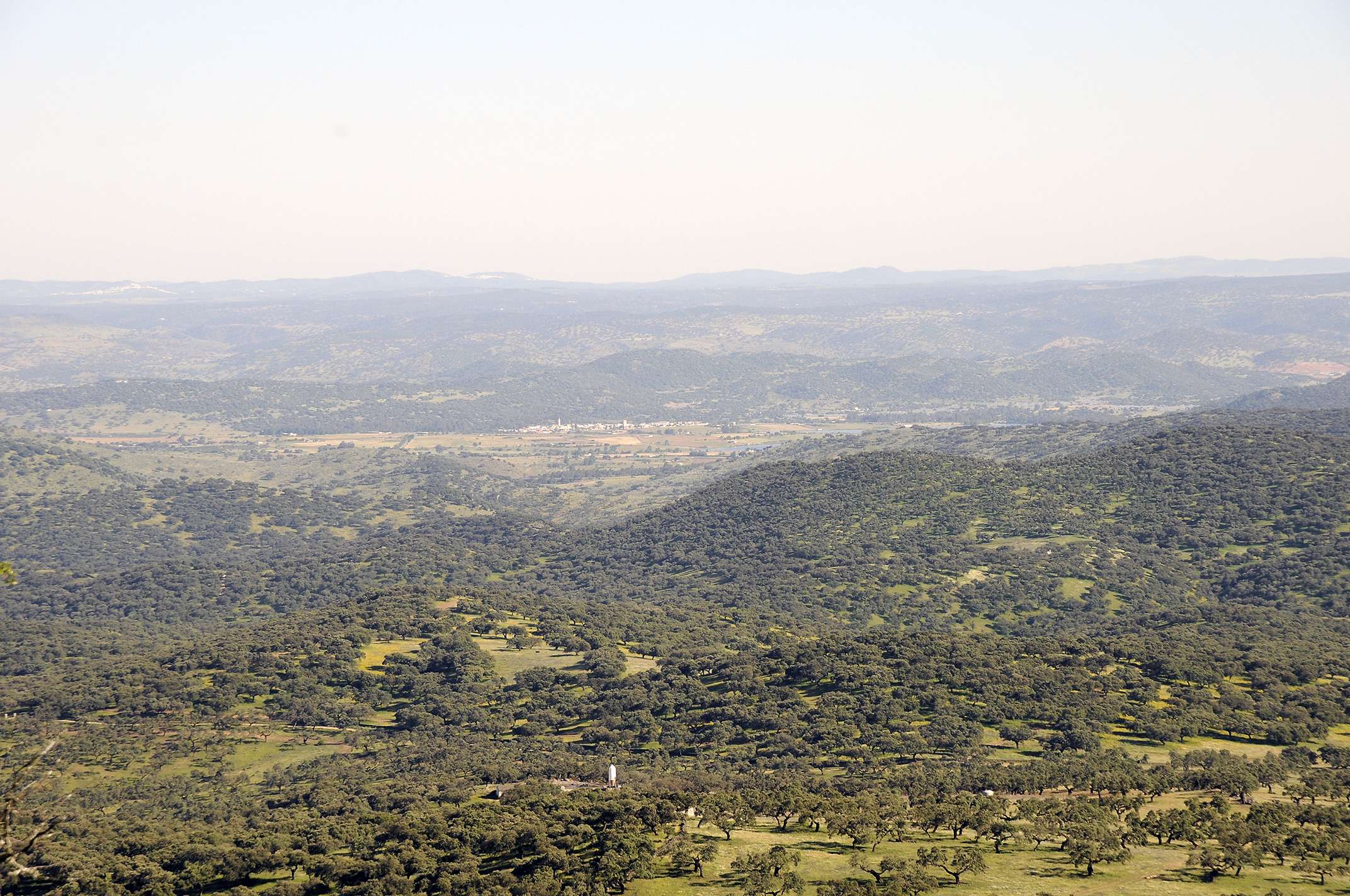 Patrimonio natural. La fotografía de naturaleza (1)
