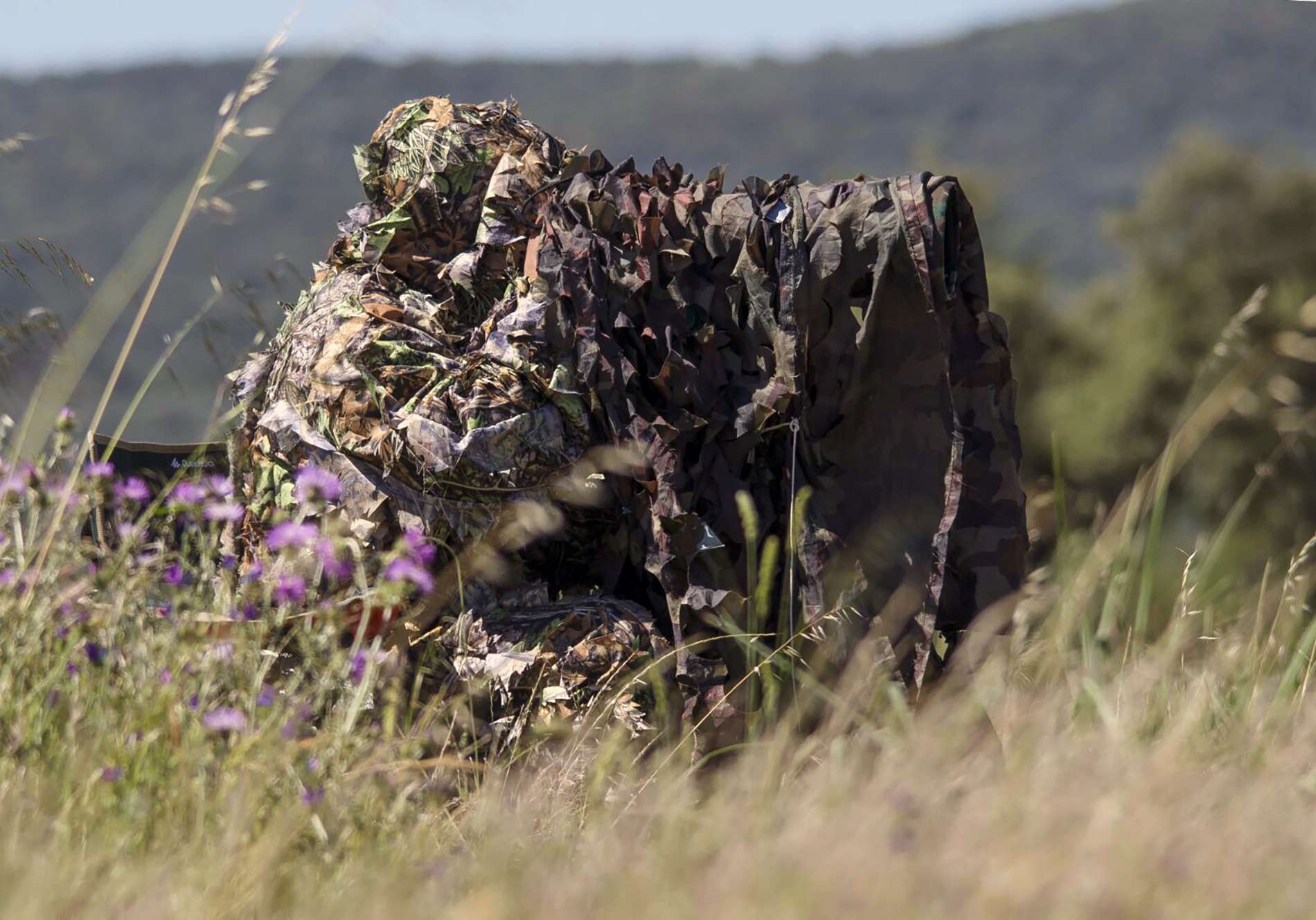 Patrimonio natural. La fotografía de naturaleza (1)