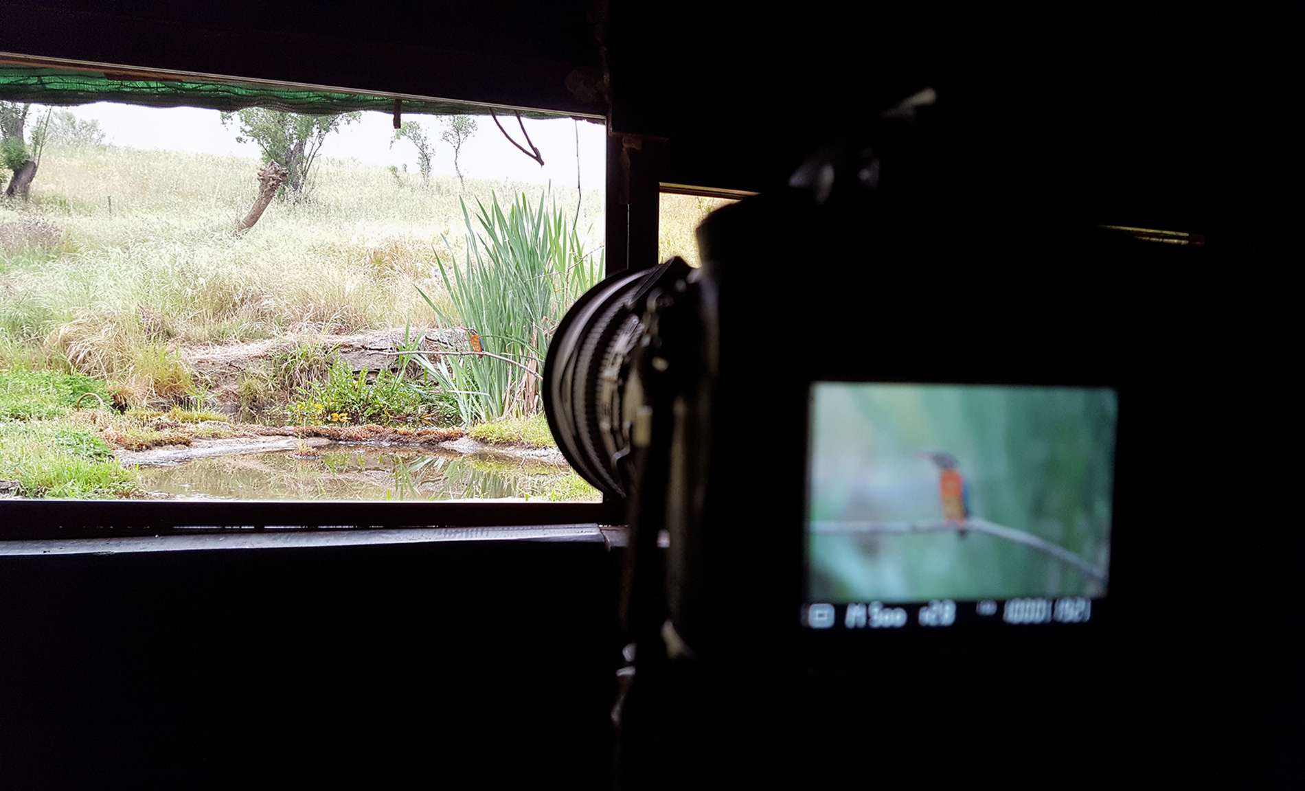 Patrimonio natural. La fotografía de naturaleza (1)