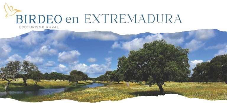 'Birdeo' se presenta como nuevo referente de turismo experiencial vinculado a la naturaleza