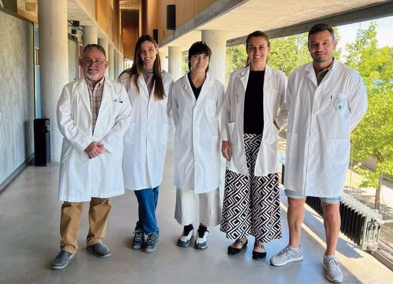 La Universidad de Extremadura investiga alternativas a los antibióticos para el tratamiento de la endometritis en caballos