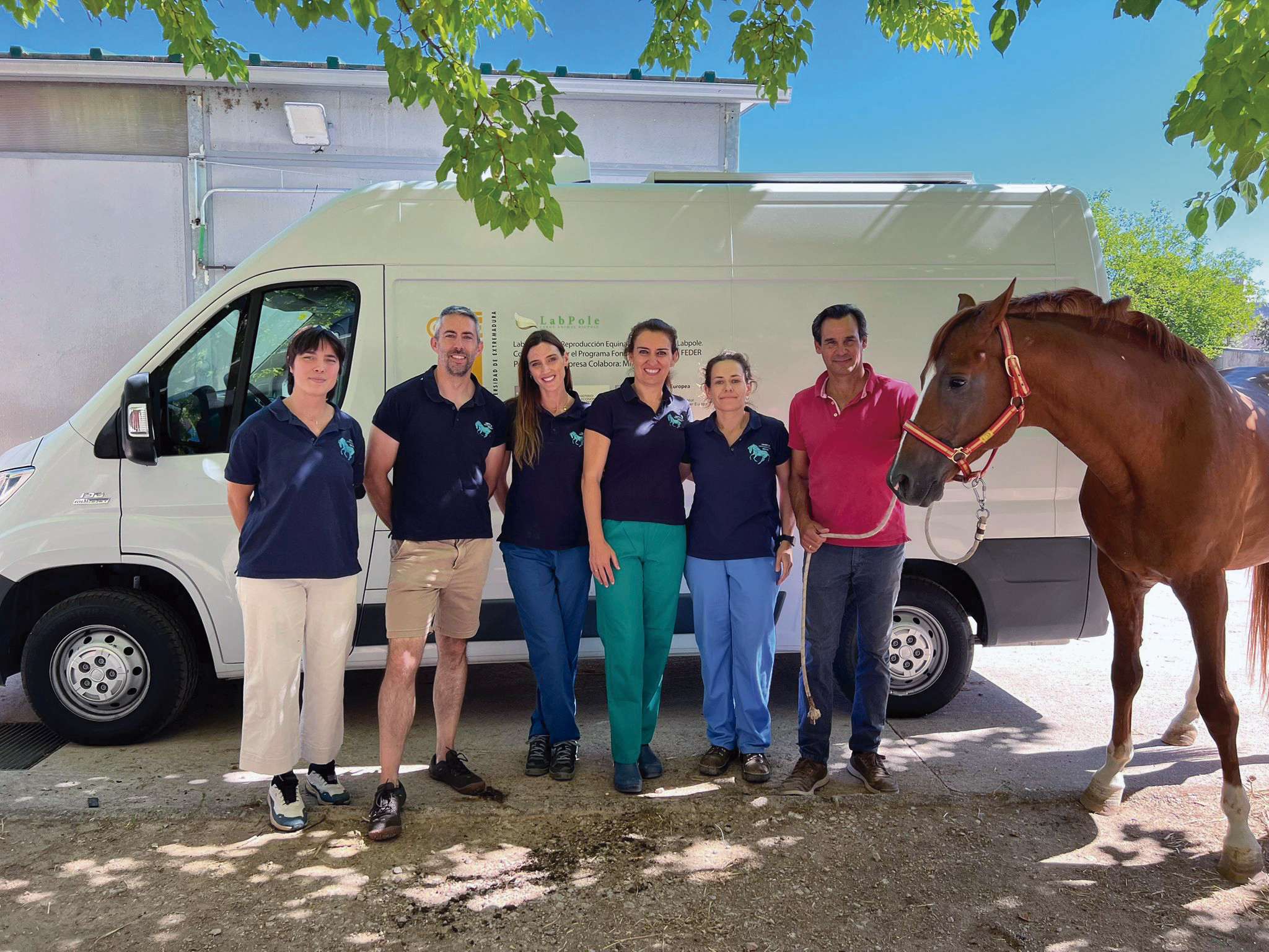 La Universidad de Extremadura investiga alternativas a los antibióticos para el tratamiento de la endometritis en caballos