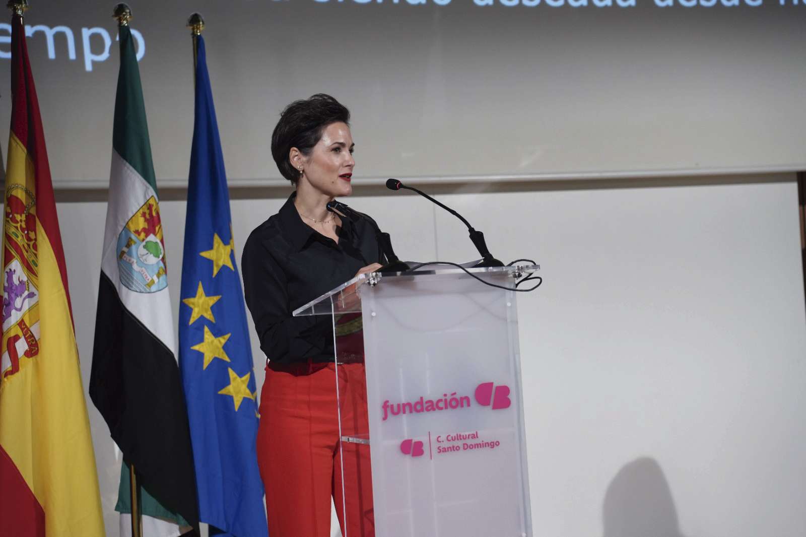 La Diputación de Badajoz resuelve la primera fase de ayudas a entidades sociales para adquirir vehículos adaptados