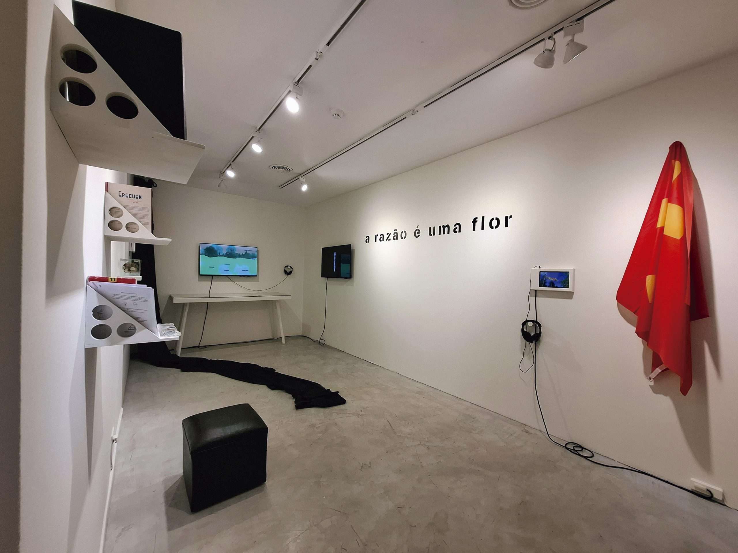 Los archivos de Cáceres Abierto en Buenos Aires