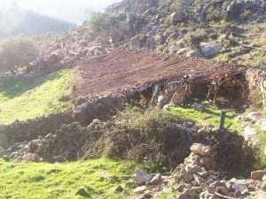 La huella de donde venimos