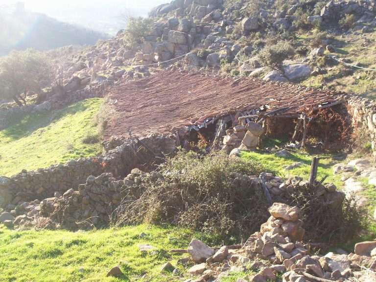 La huella de donde venimos