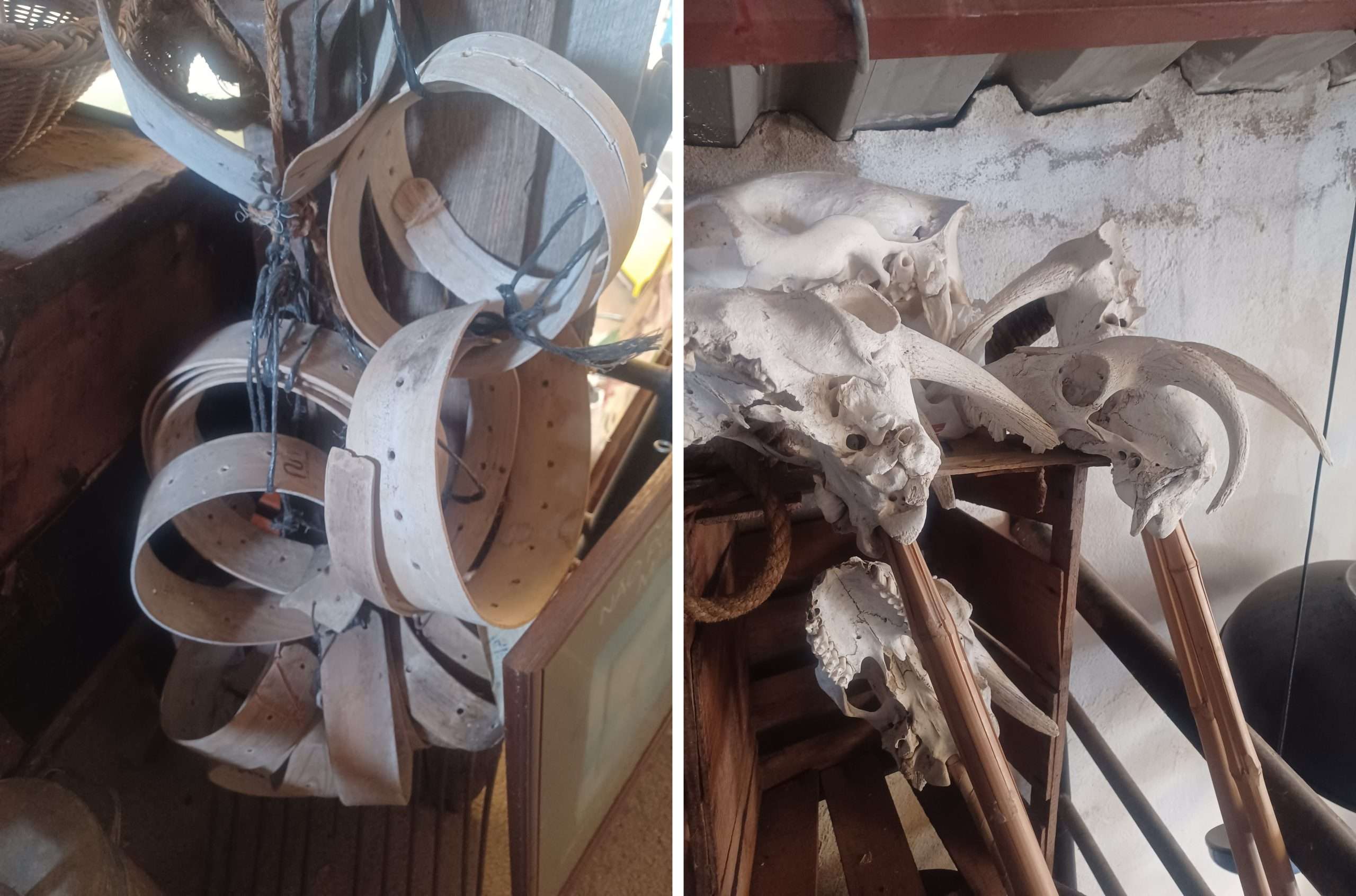 La huella de donde venimos