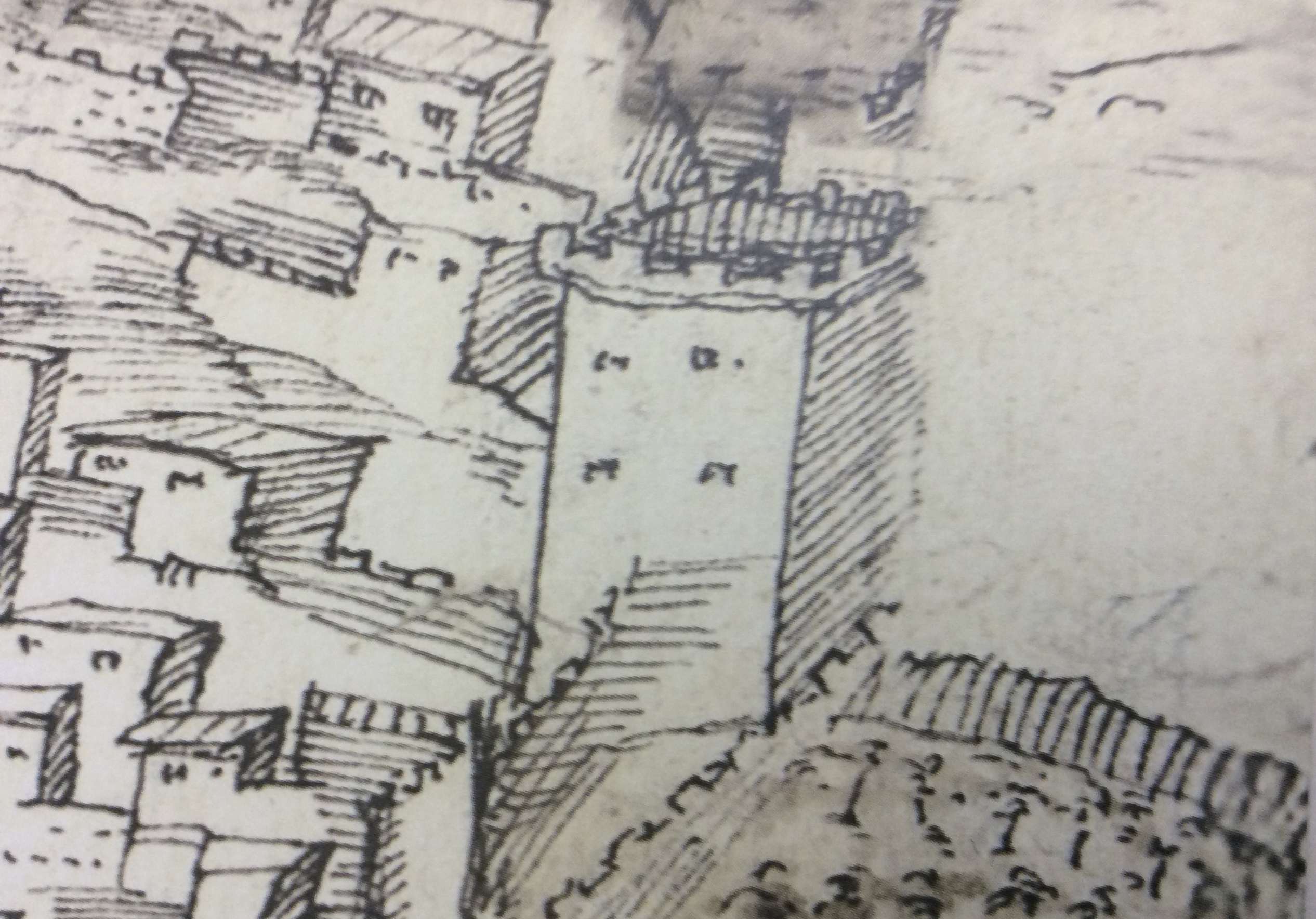 Desde la Torre Lucía. Quinto centenario del nacimiento de Luis de Toro, físico y médico placentino (1526-2026)