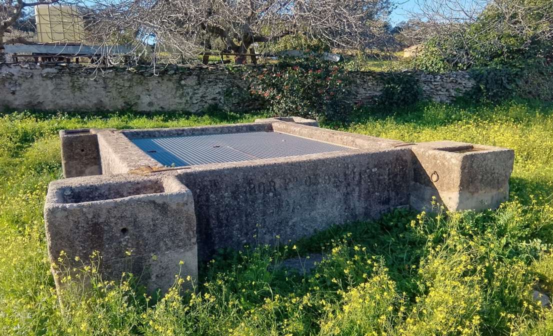 Bajo la sombra generosa de una jiguera centenaria