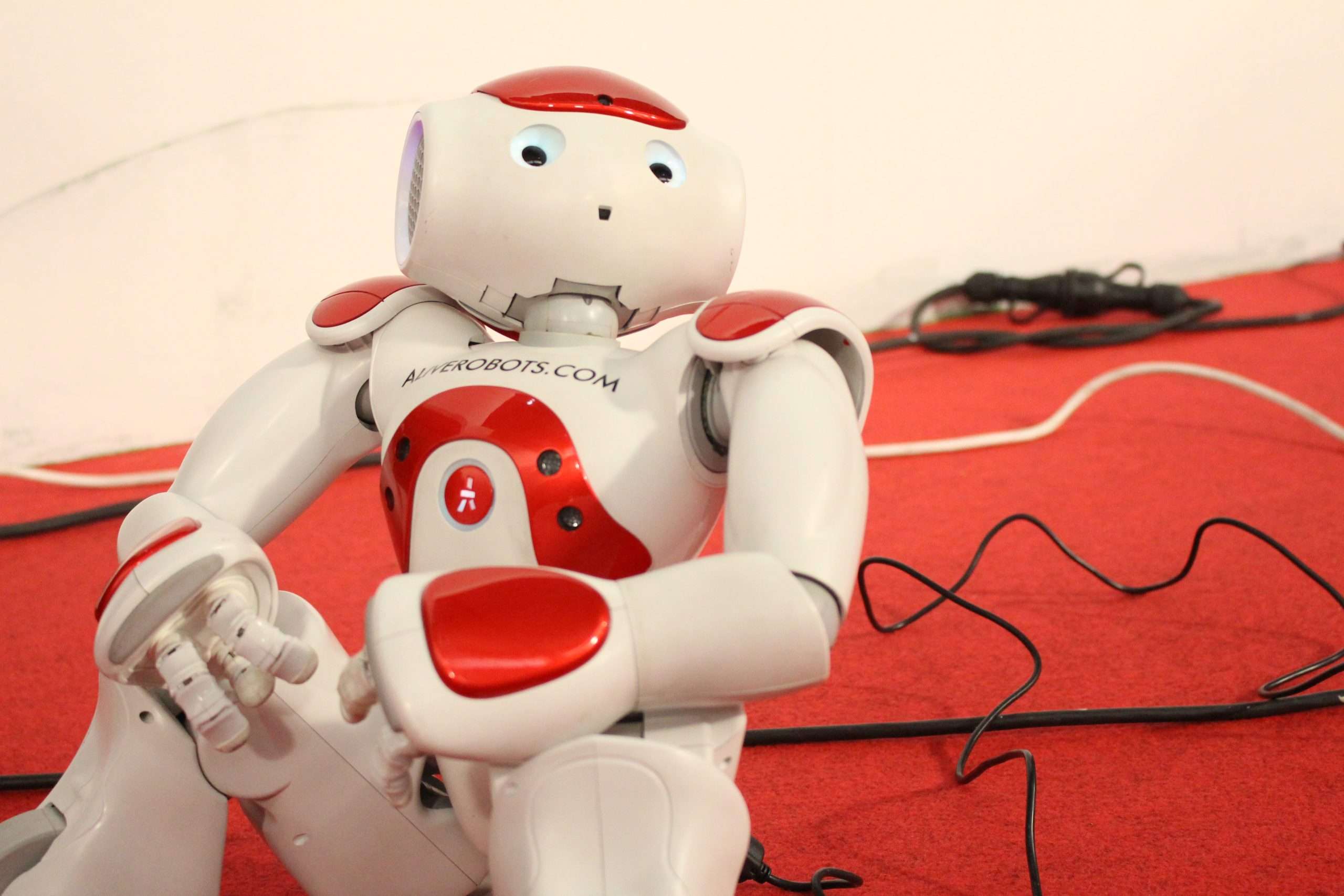 RoboRAVE Ibérica. II Feria internacional de la robótica aplicada a la educación y diversidad