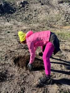 Cabezabellosa planta 800 árboles autóctonos tras el incendio del pasado verano