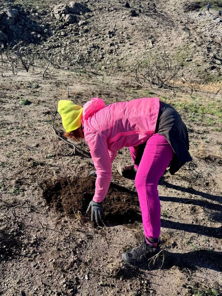 Cabezabellosa planta 800 árboles autóctonos tras el incendio del pasado verano