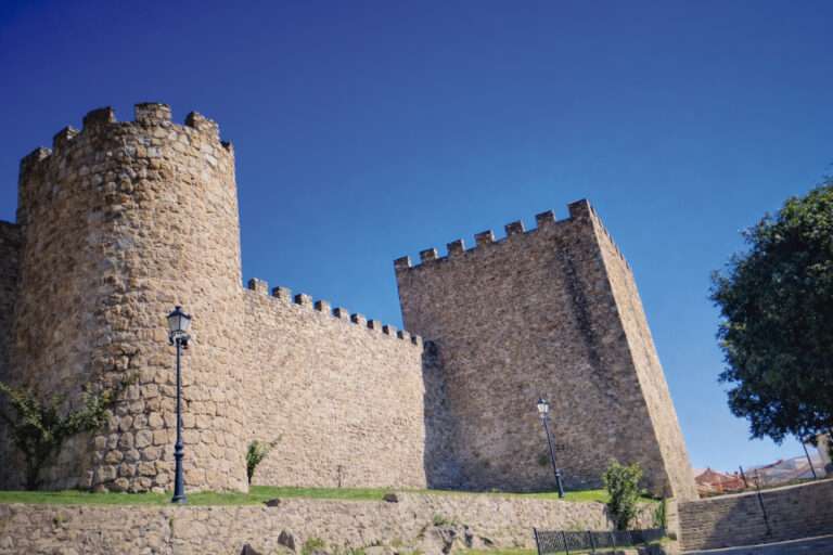 Desde la Torre Lucía. El Beato de Fernando I y Doña Sancha y Plasencia