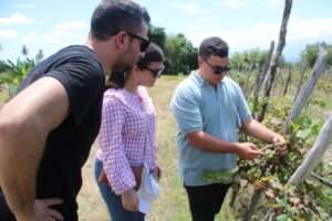 Sello ribereño en el panel internacional de la Universidad Autónoma de Santo Domingo; ciencia y periodismo al servicio del viñedo