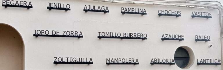 Palabras que brotan. Biodiversidad y memoria en el habla chinata
