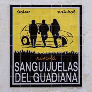 'Sanguijuelas del Guadiana' lleva su "música de pueblo" a Badajoz con dos conciertos consecutivos