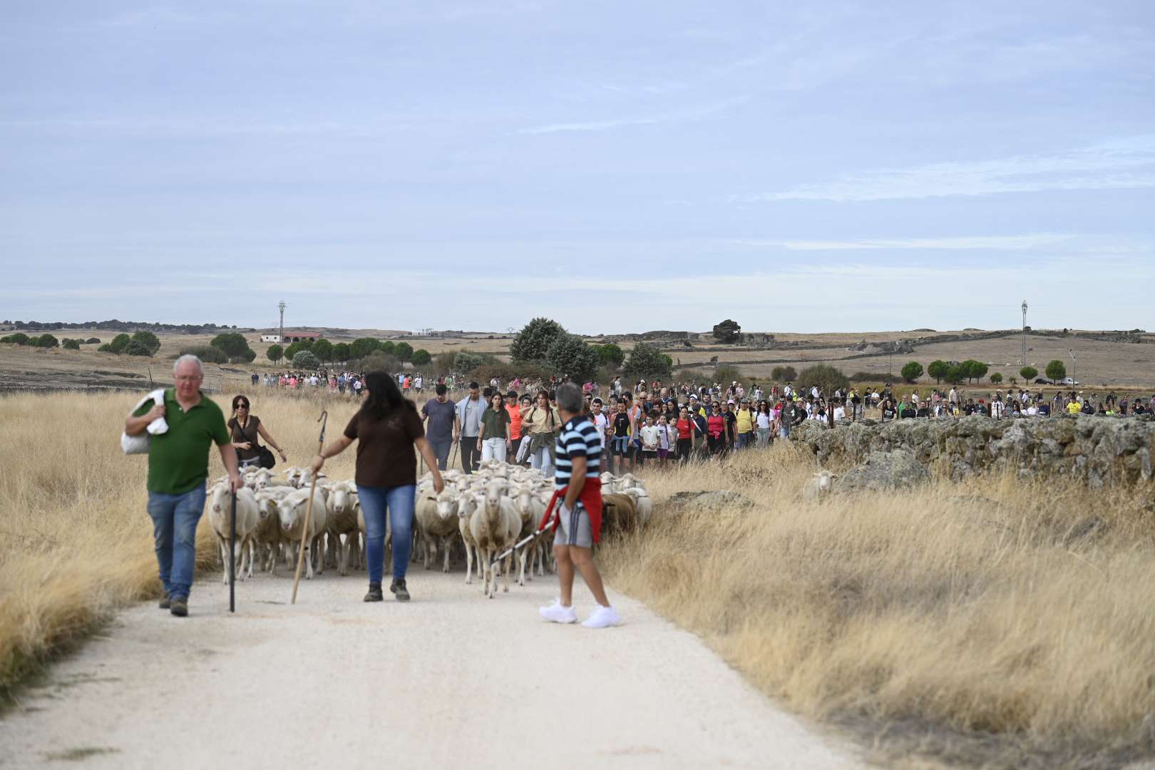 La Torta del Casar cierra su semana grande con cerca de 12.000 visitantes